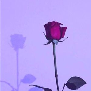 Meet your Posher, Alanis